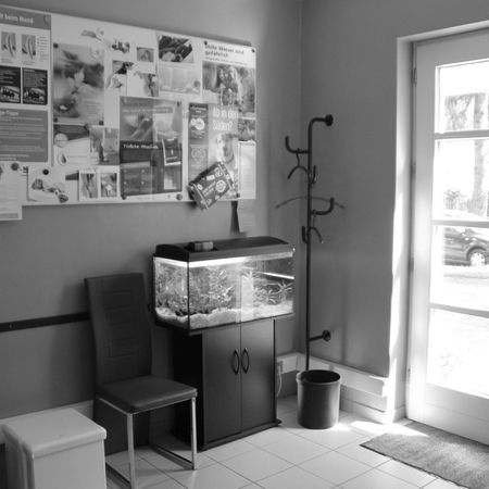 Tierarztpraxis J. Carolin Keller Wartezimmer